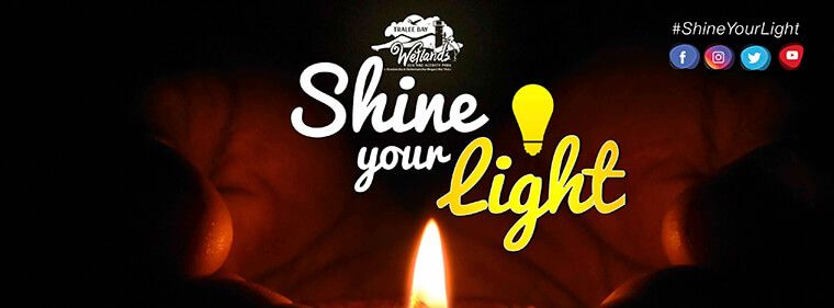Shine Your Light