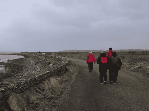 Nature Bay Walk on Sunday, 25th January 2026