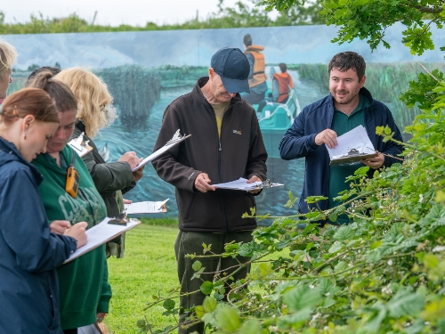Bee Survey starts on 15th April from 3:30pm at Tralee Bay Wetlands Ecology Park