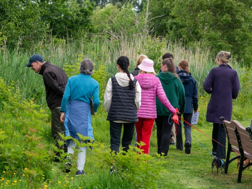 Bee Survey starts on 25th March from 3:30pm at Tralee Bay Wetlands Ecology Park